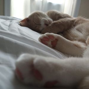 Meet your Posher, Kianna